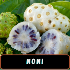 Noni